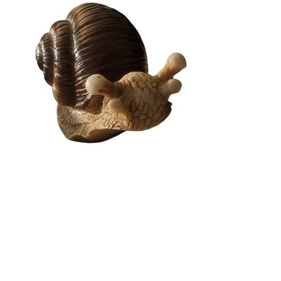 Snail, Realistic, Hand Painted, Figure, Lifelike Approximately 5"x2" Plastic - Picture 2 of 4